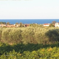 IMG-20250520-WA0057