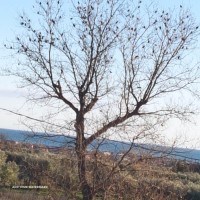 IMG-20250520-WA0059