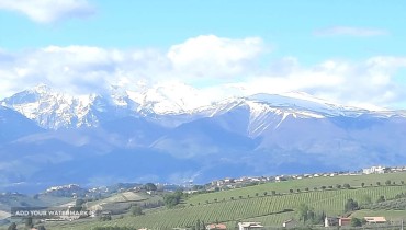 Immagine WhatsApp 2025-11-22 ore 11.59.11_184f4e63AZIZI