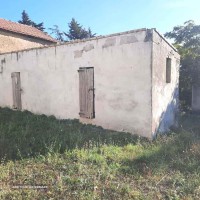 Immagine WhatsApp 2025-09-19 ore 17.39.11_715df986AZIZI